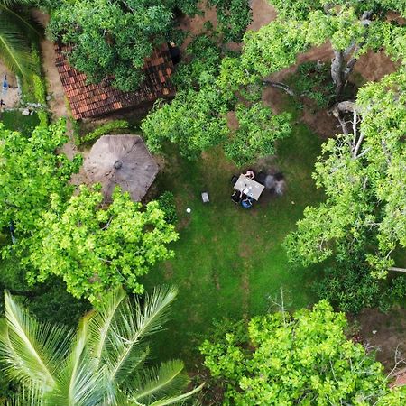 Eco Village Kalundewa Dambulla Exteriör bild