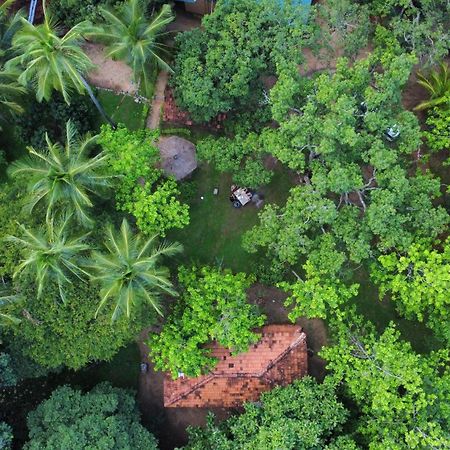 Eco Village Kalundewa Dambulla Exteriör bild