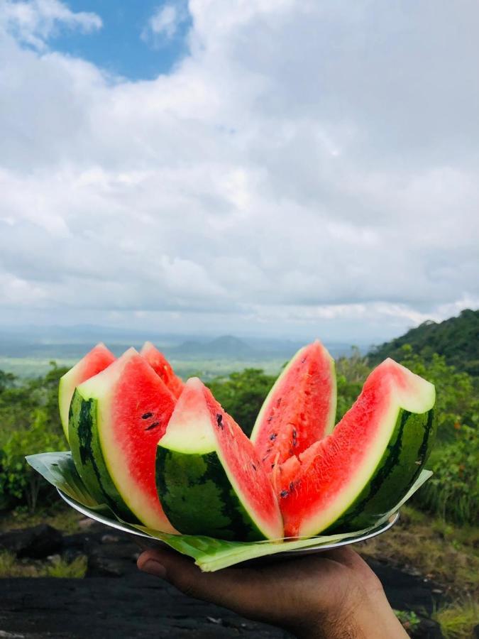 Eco Village Kalundewa Dambulla Exteriör bild