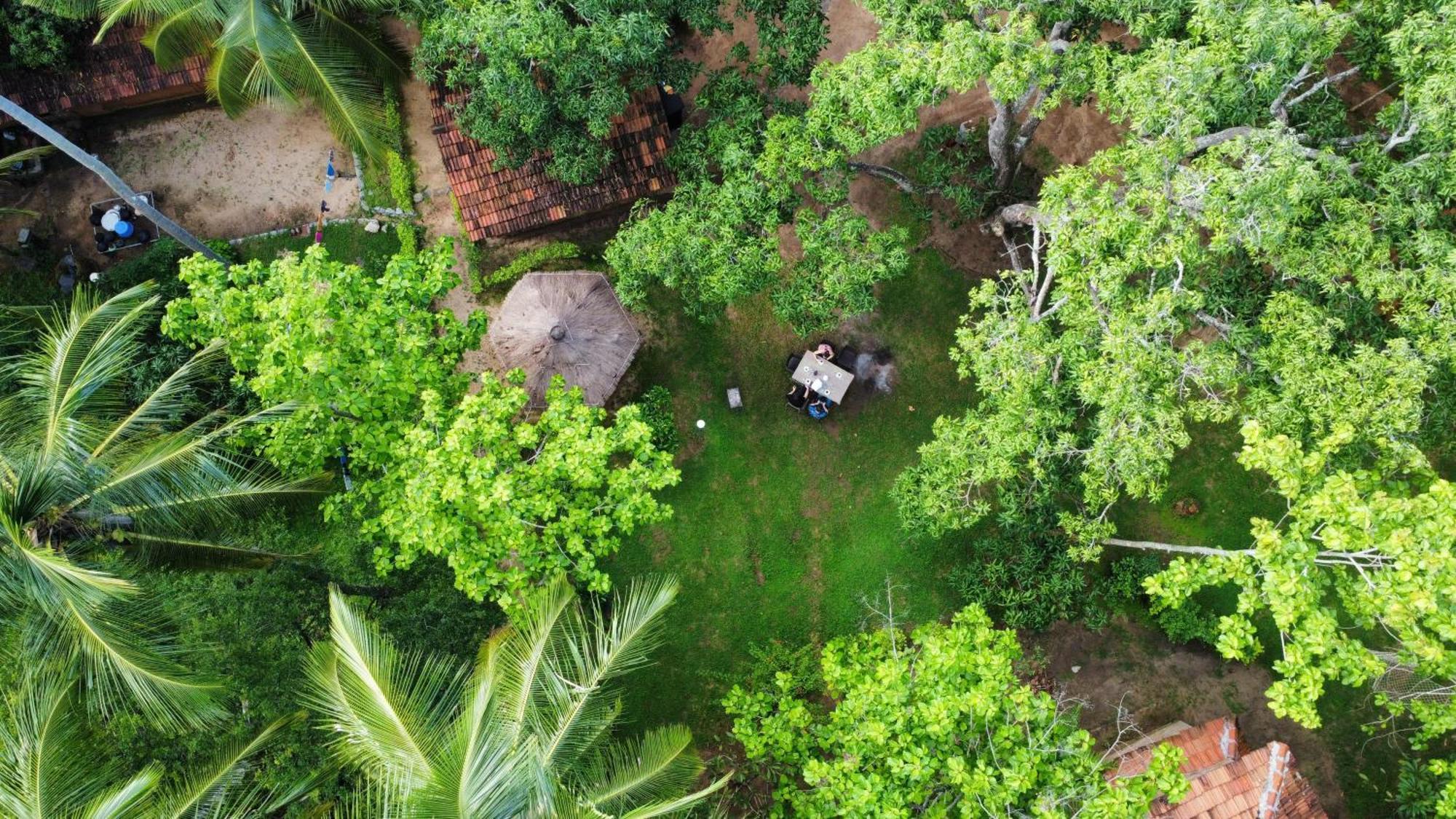 Eco Village Kalundewa Dambulla Exteriör bild