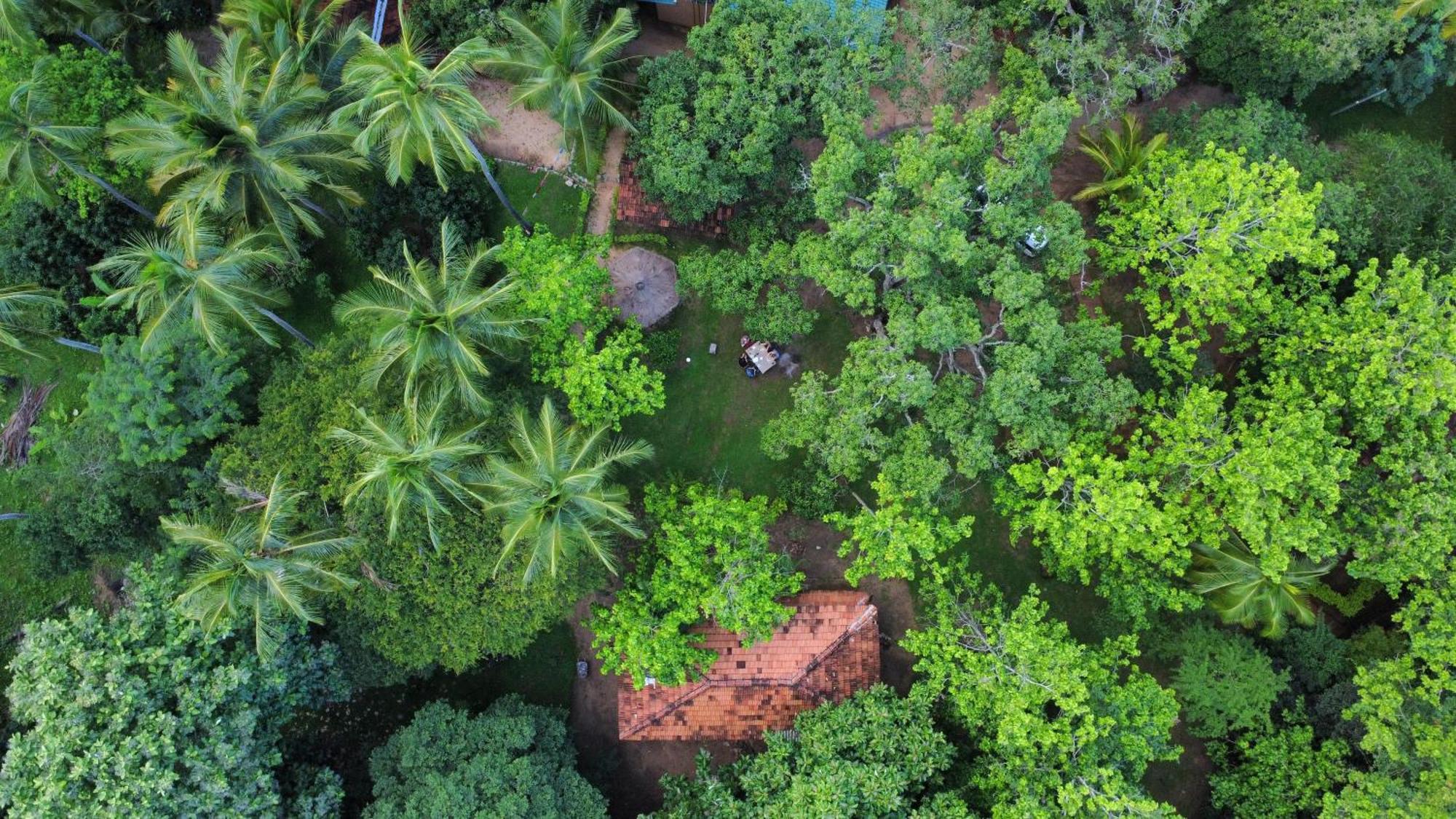 Eco Village Kalundewa Dambulla Exteriör bild