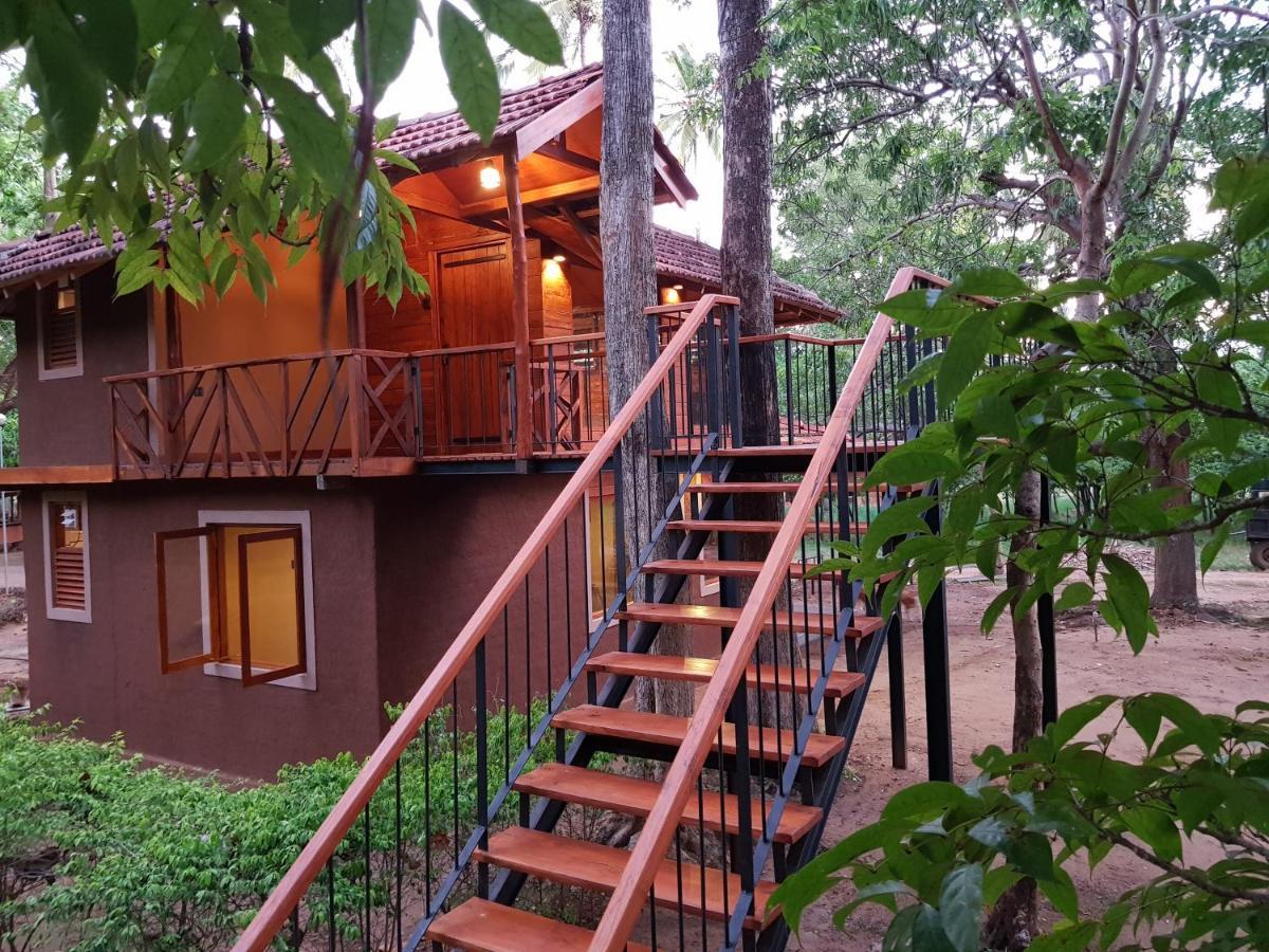 Eco Village Kalundewa Dambulla Exteriör bild