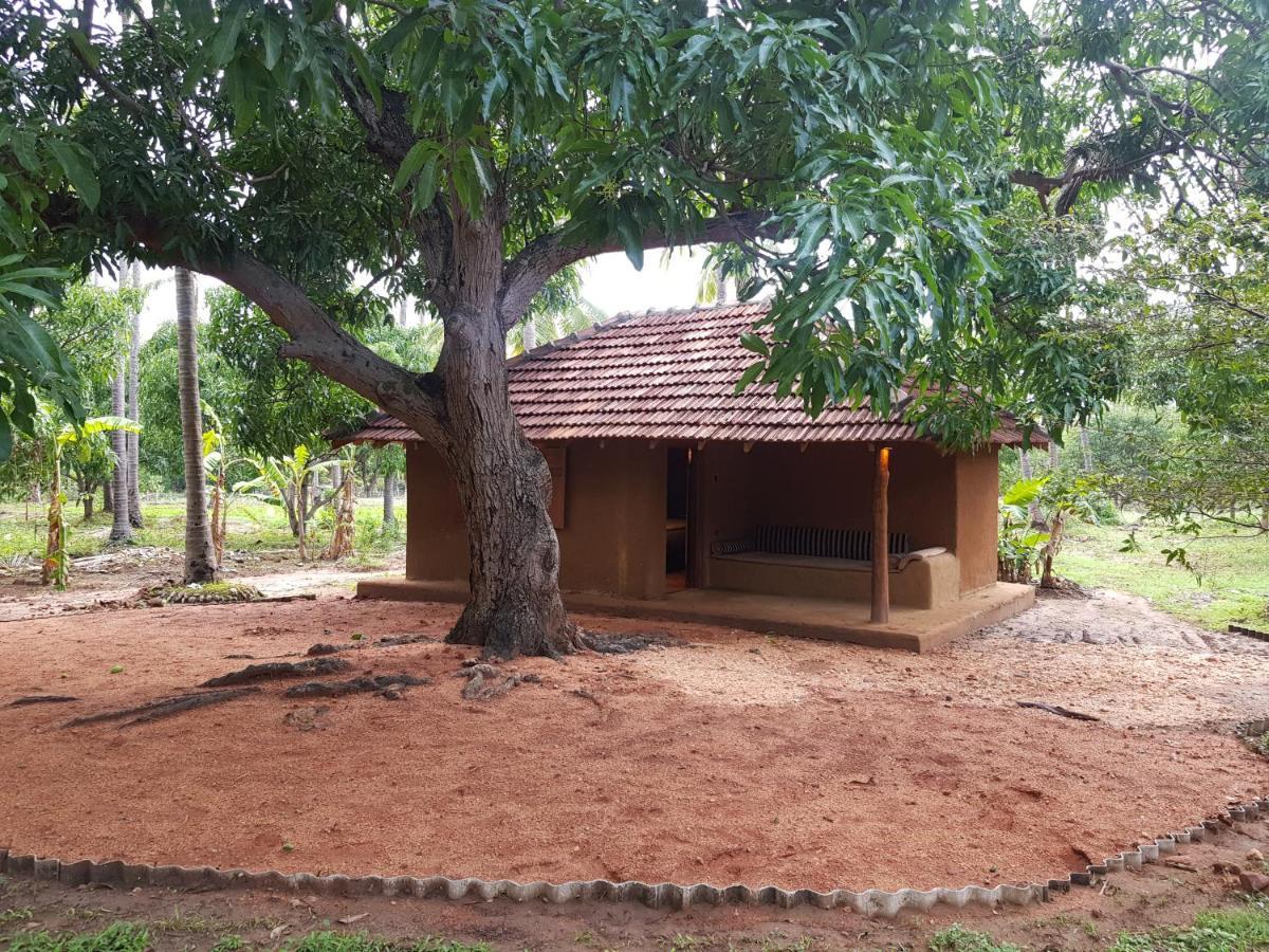 Eco Village Kalundewa Dambulla Exteriör bild
