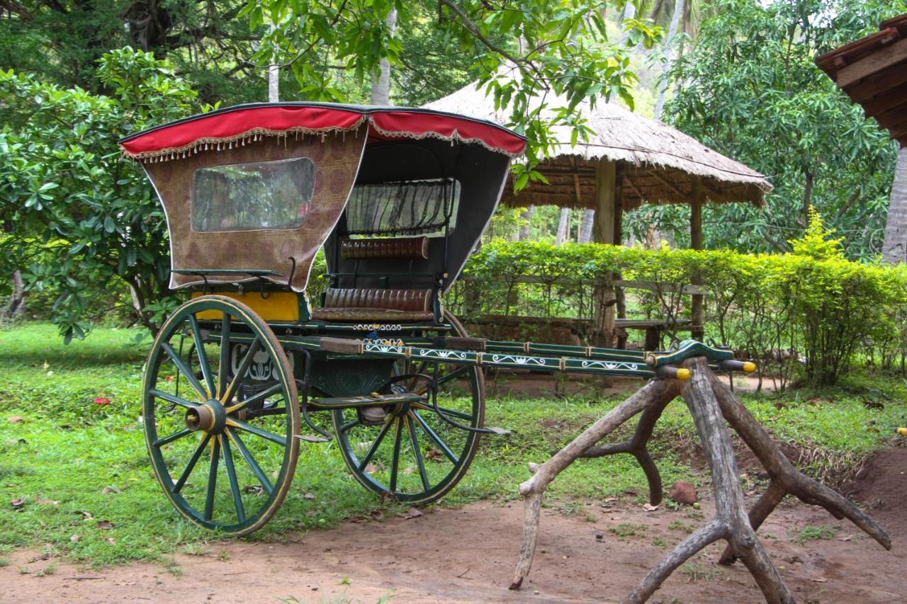 Eco Village Kalundewa Dambulla Exteriör bild