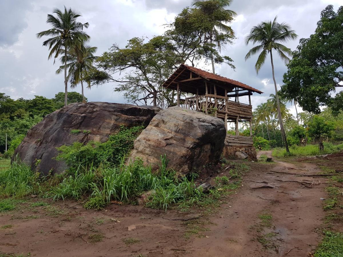 Eco Village Kalundewa Dambulla Exteriör bild