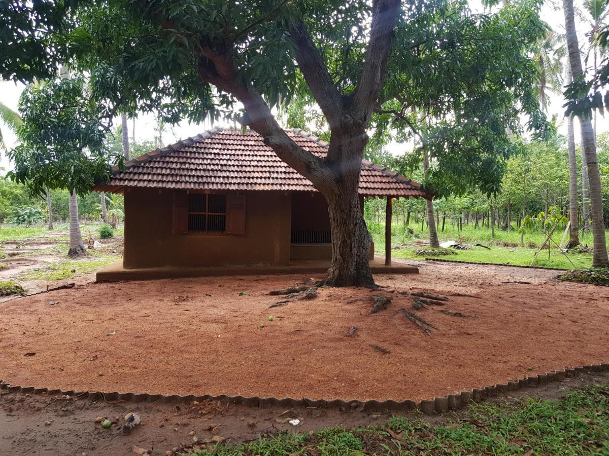 Eco Village Kalundewa Dambulla Exteriör bild